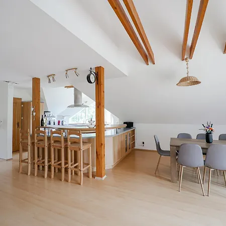 Apartment Anton Kvacany