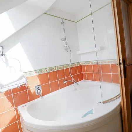 Apartment Anton *